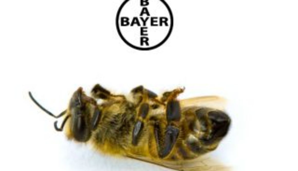 don-13160-Bayer-Bee